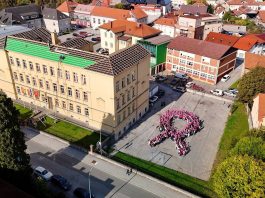 Ružičasti listopad – prevencija raka dojke