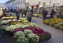 Tržnica srijedom u znaku cvjetnih aranžmana i zimskih cvjetnica