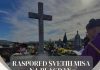 Sadnja zimskih trajnica na gradskim travnjacima